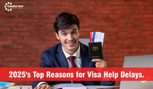 Reasons for Visa Help Delays